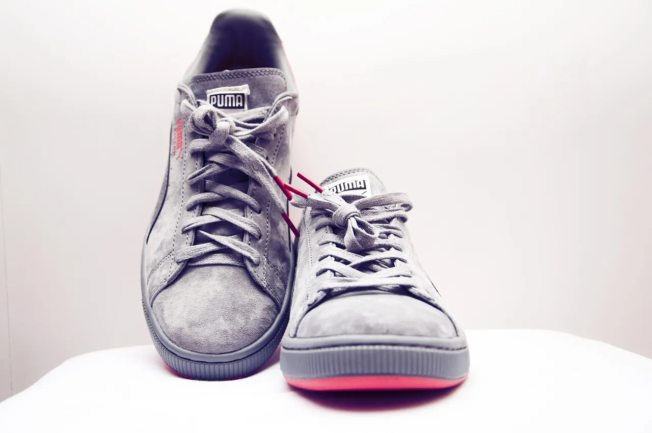 Puma evoTOUCH Pro FG